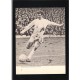 Signed picture of Johnny Giles the Leeds United footballer